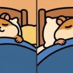 Test del QI: trovare 3 differenze in un'immagine di un criceto addormentato in 29 secondi Test del QI: trovare 3 differenze in un’immagine di un